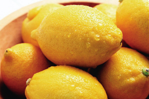 �����ʳ��ɹʳ��