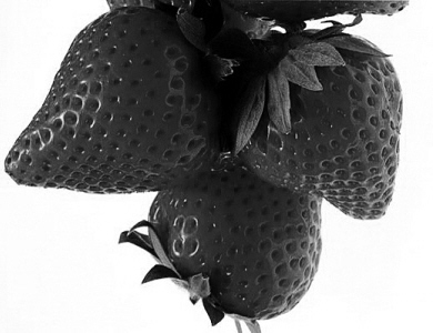 �������һ����������ݮ