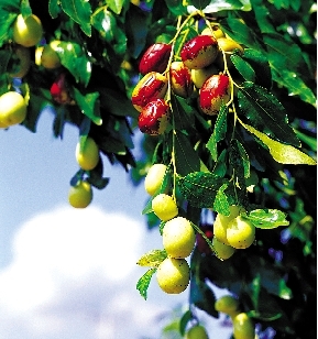 �������ά����C֮��