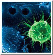 假如他们能行走三天