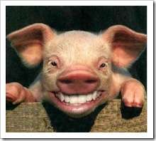 ���&ldquo;��������&rdquo;����������