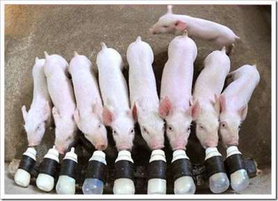 ���&ldquo;��������&rdquo;����������