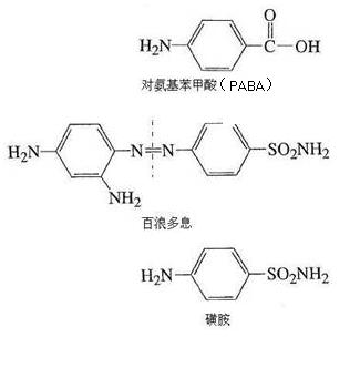 ���Ǿ��� ������