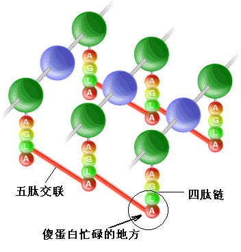 ���Ǿ��� ������