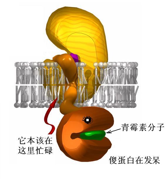 ���Ǿ��� ������