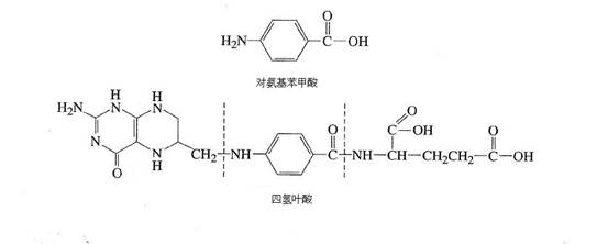 ���Ǿ��� ������