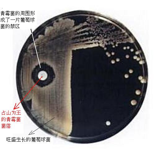 ���Ǿ��� ������