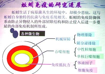 ���������� ǿ��������� ���ص��������� �ȶ���ϸ���ڻ�����