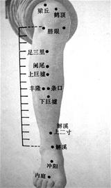 ��ĦѨλ�ιǴ�