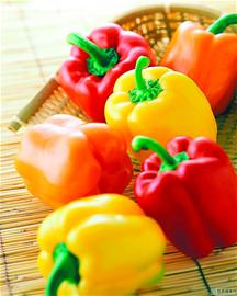 ������� ҩʳ������