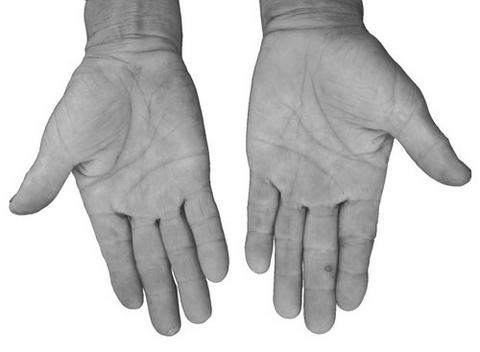 ������衷˵����(2)