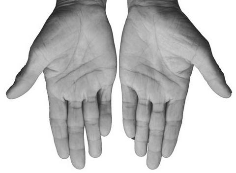 ������衷˵����(2)