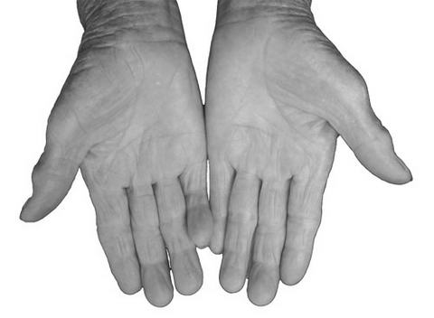 ������衷˵����(2)