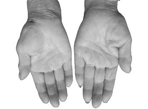 ������衷˵����(2)