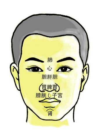 十二官不相失者寿(4)