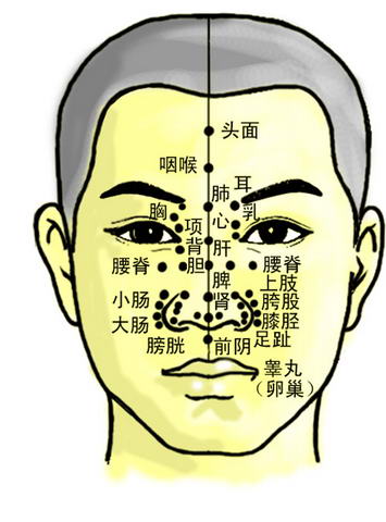 十二官不相失者寿(4)