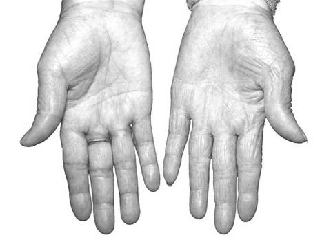 Ӱ�쳤�ٵ���Ҫ����(1)