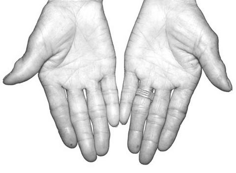 Ӱ�쳤�ٵ���Ҫ����(3)