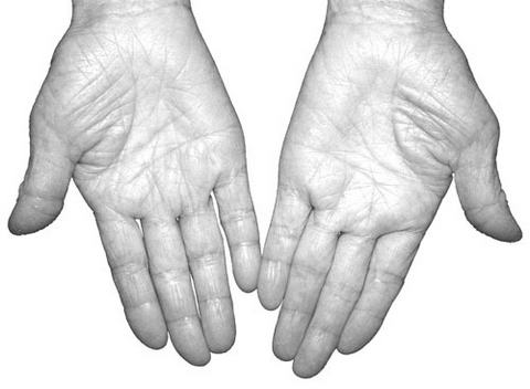 Ӱ�쳤�ٵ���Ҫ����(3)