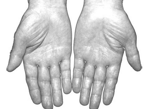 Ӱ�쳤�ٵ���Ҫ����(3)