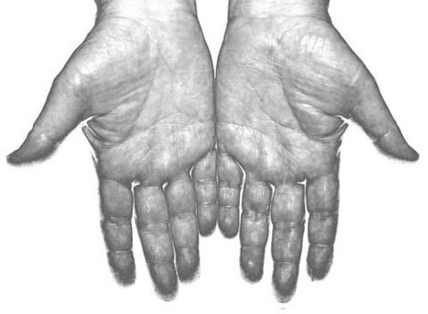 Ӱ�쳤�ٵ���Ҫ����(3)