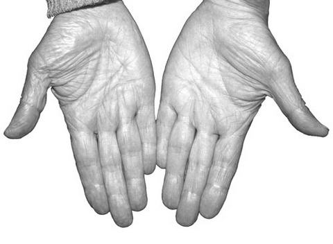 Ӱ�쳤�ٵ���Ҫ����(4)