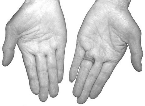 Ӱ�쳤�ٵ���Ҫ����(4)