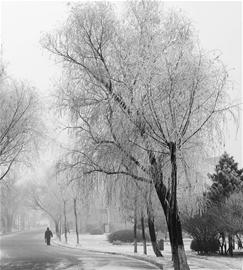 ÿ���ܲ�ȥ�ϰ�