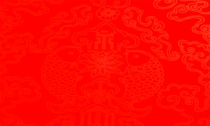 ���ż����׾���