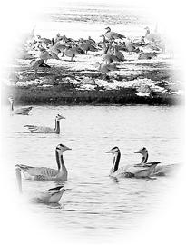 床上须知的礼节