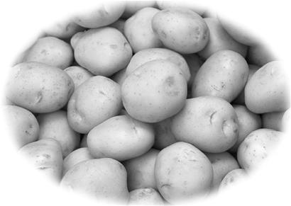 �ɳ��߲� ��ý���