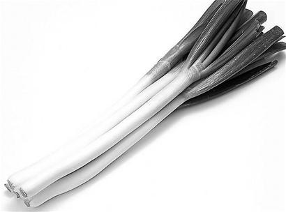 �ɳ��߲� ��ý���