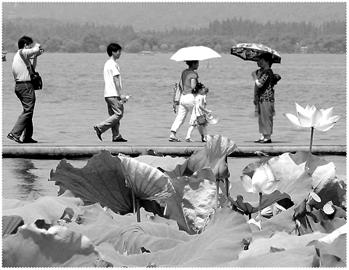 不容忽视的婚后矛盾