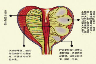 ��֤����ǰ������