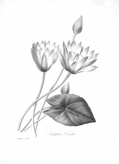 ���ɻ������鷨������
