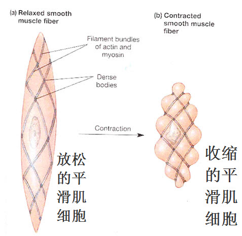 ��ҩ�����; �����򰬿���Щ�а��ĸ�����