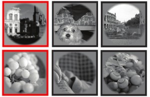 ���ԡ����񾭿�ѧ���½�չ