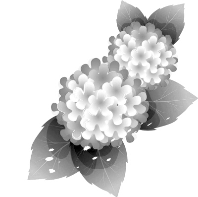 һ�������飬��ůһ����
