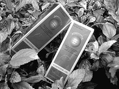 ����߻�ܡ�����Ů�Խ���֮��
