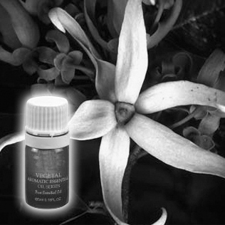 ����߻�ܡ�����Ů�Խ���֮��
