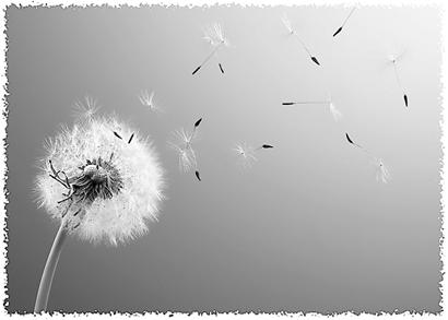 ������õ��Ŷ��ݡ������ѹ�Ӣ