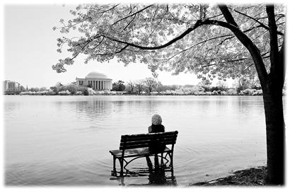 �ﶳҪ�ʶ� ̰�����շ�����������ʹ��