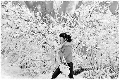 �ǿ�ר�����ѣ�