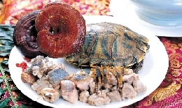 �ȵ��ע �෽������ʳ�ܲ�ţ��