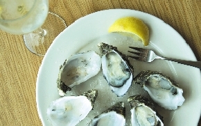 ŵ�粡���߷��� ��ʳ�������׸�Ⱦ����