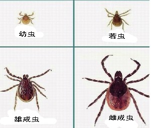 ����ز�ʷ ���Ʒ�����