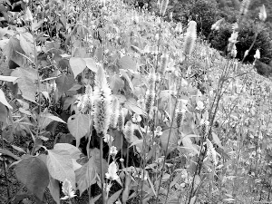 ��������ݾ���