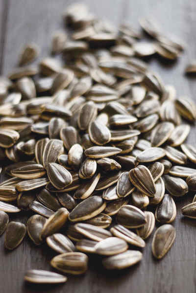 10��ʳ���ܵ���Ʒ��Ӫ���뽡����
