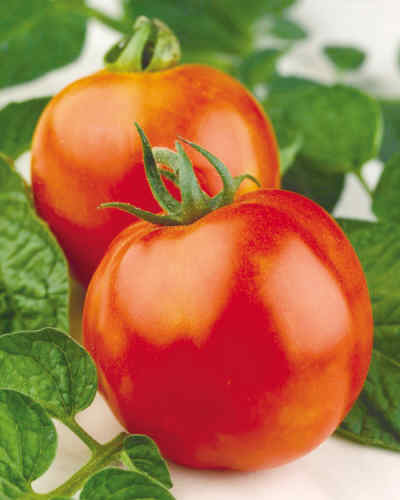 10��ʳ���ܵ���Ʒ��Ӫ���뽡����
