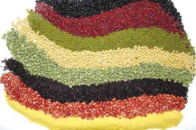 10��ʳ���ܵ���Ʒ��Ӫ���뽡����
